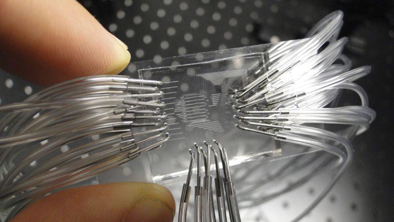 Un rayo de luz para vencer al cáncer