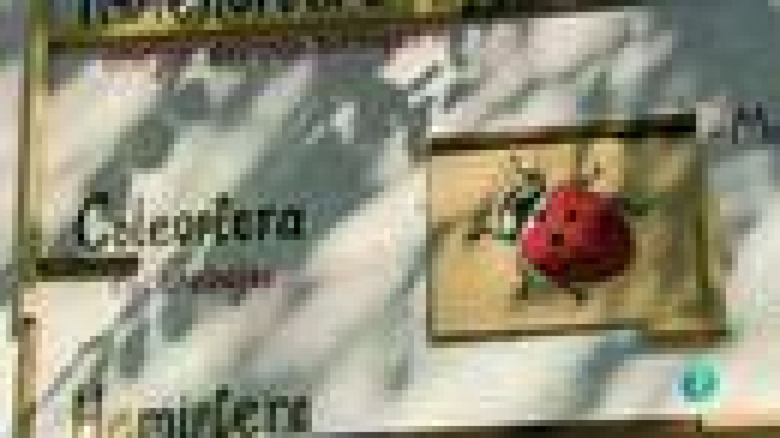 La Aventura del Saber. Esta es una plaza