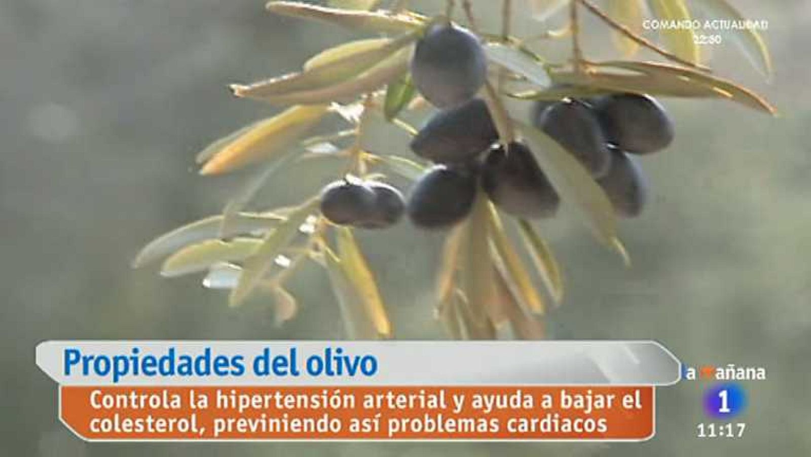 Saber vivir - 20/05/14 - Ver ahora