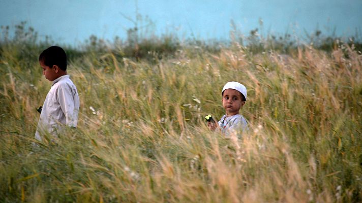 Telediario 1 - Explotación según la OIT