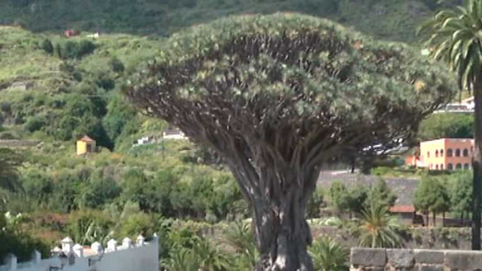 La aventura del saber - 21/05/14 - ver ahora