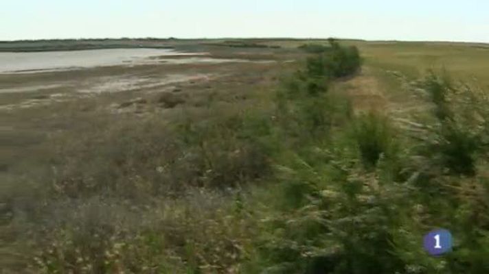 Noticias de Castilla-La Mancha - Castilla-La Mancha en 2' - 21/05/14