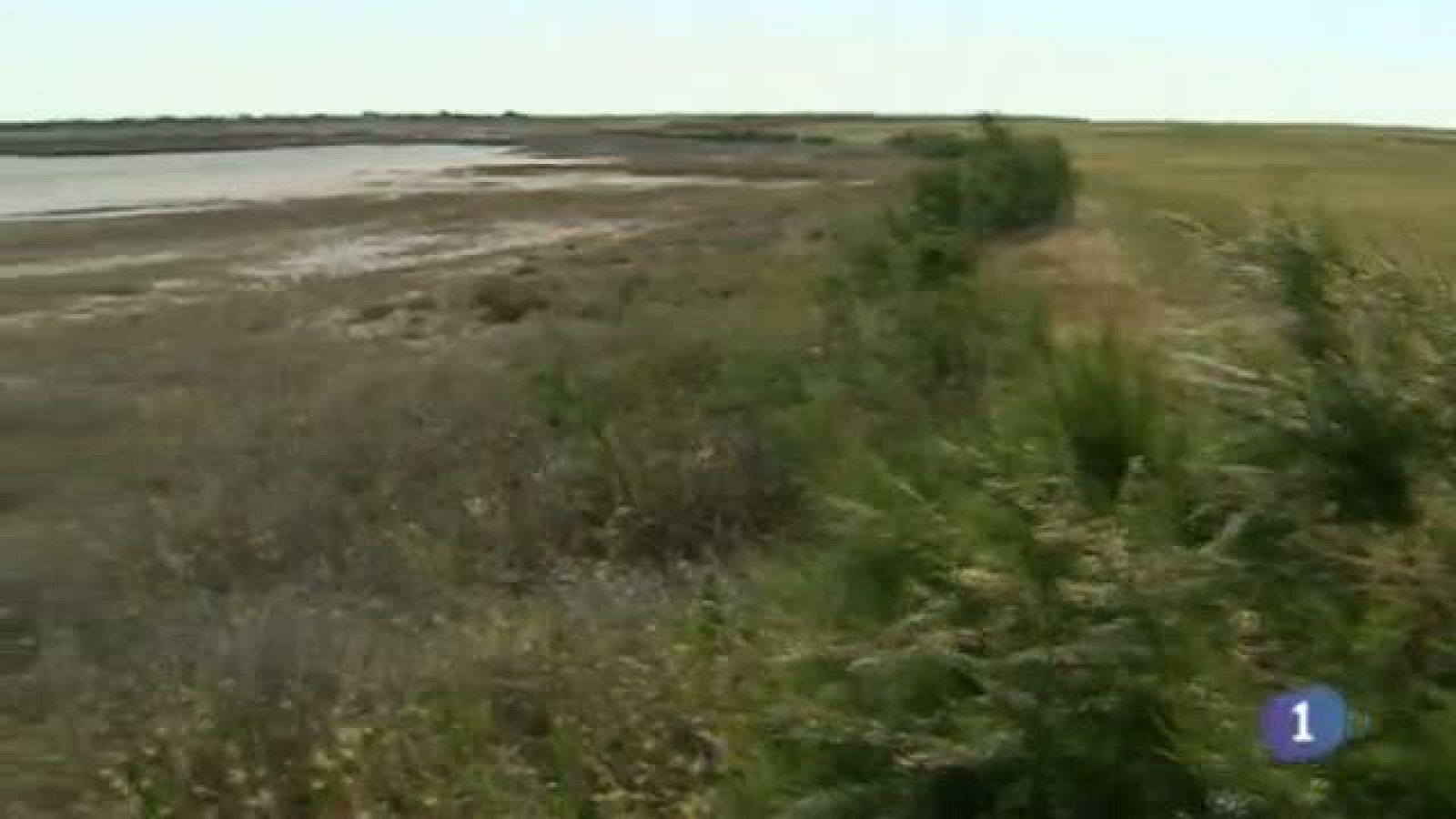 Noticias de Castilla-La Mancha - 21/05/14 | Ver