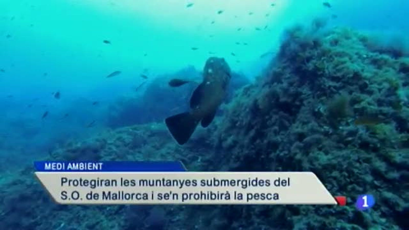 Informatiu Balear 2 - 21/05/14 | Ver