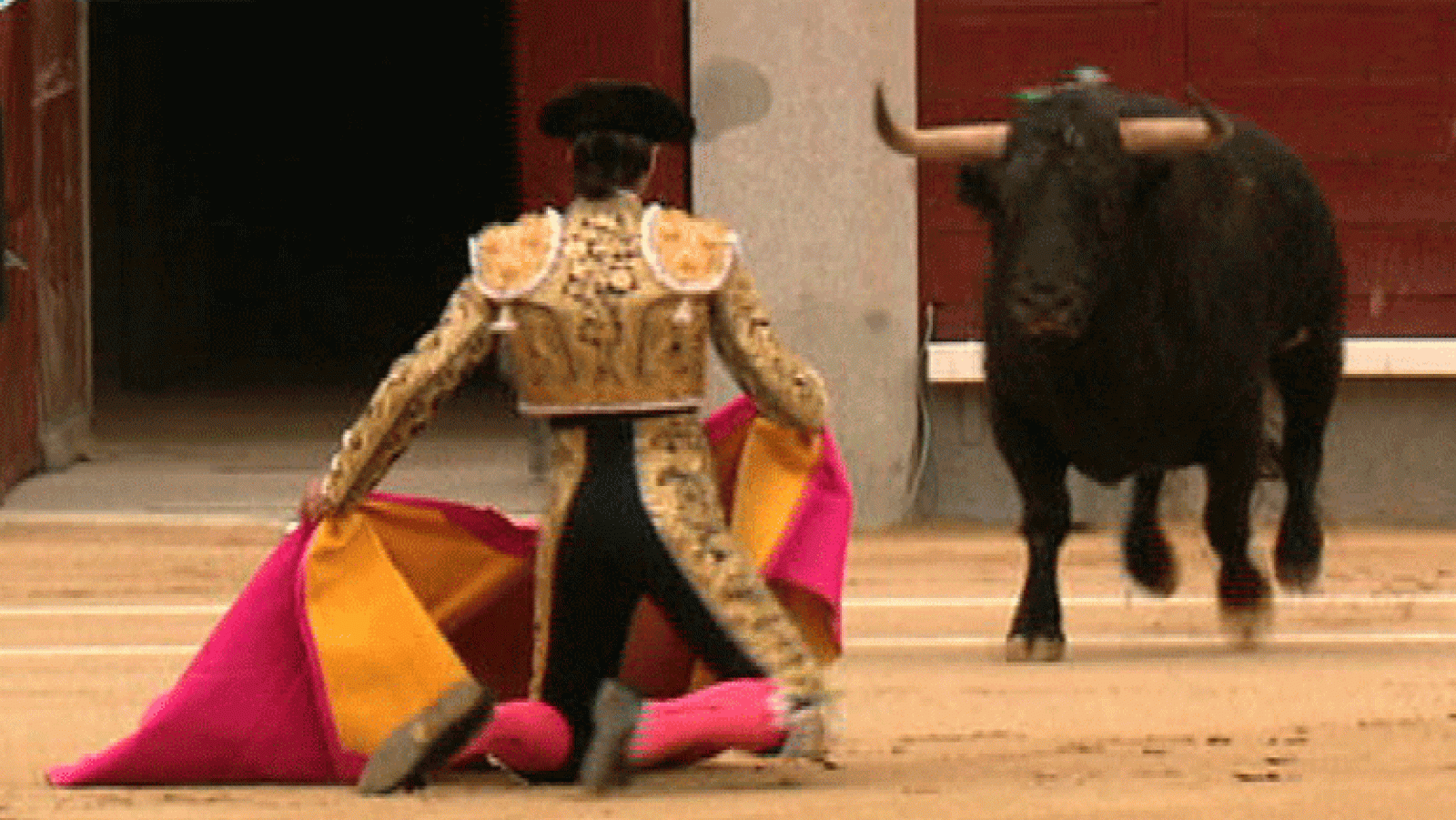 España Directo- Suspendida la corrida en Las Ventas tras acabar los toreros en la enfermería