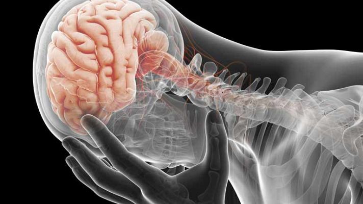 La mañana - Dolor de cabeza