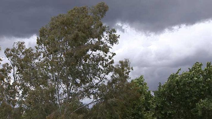 Informativo de Madrid - El Tiempo en la Comunidad de Madrid - 22/05/14