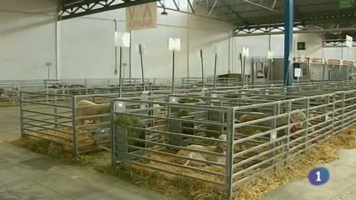 Noticias de Castilla-La Mancha - Noticias de Castilla-La Mancha - 22/05/14