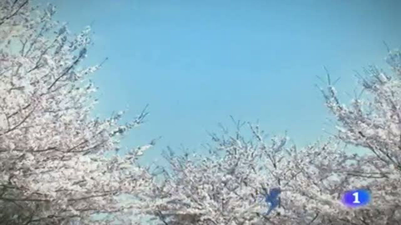 El tiempo en la Región de Murcia - 22/05/2014