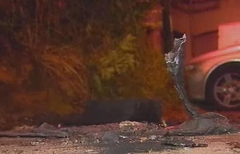 Unos desconocidos han quemado un coche de la Diputación Foral de Vizcaya en Bilbao.