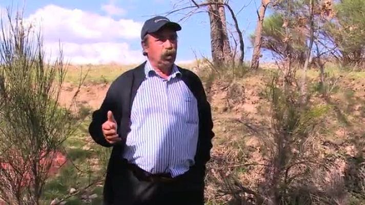 Repor - La burbuja del agua - Cipriano Roldán