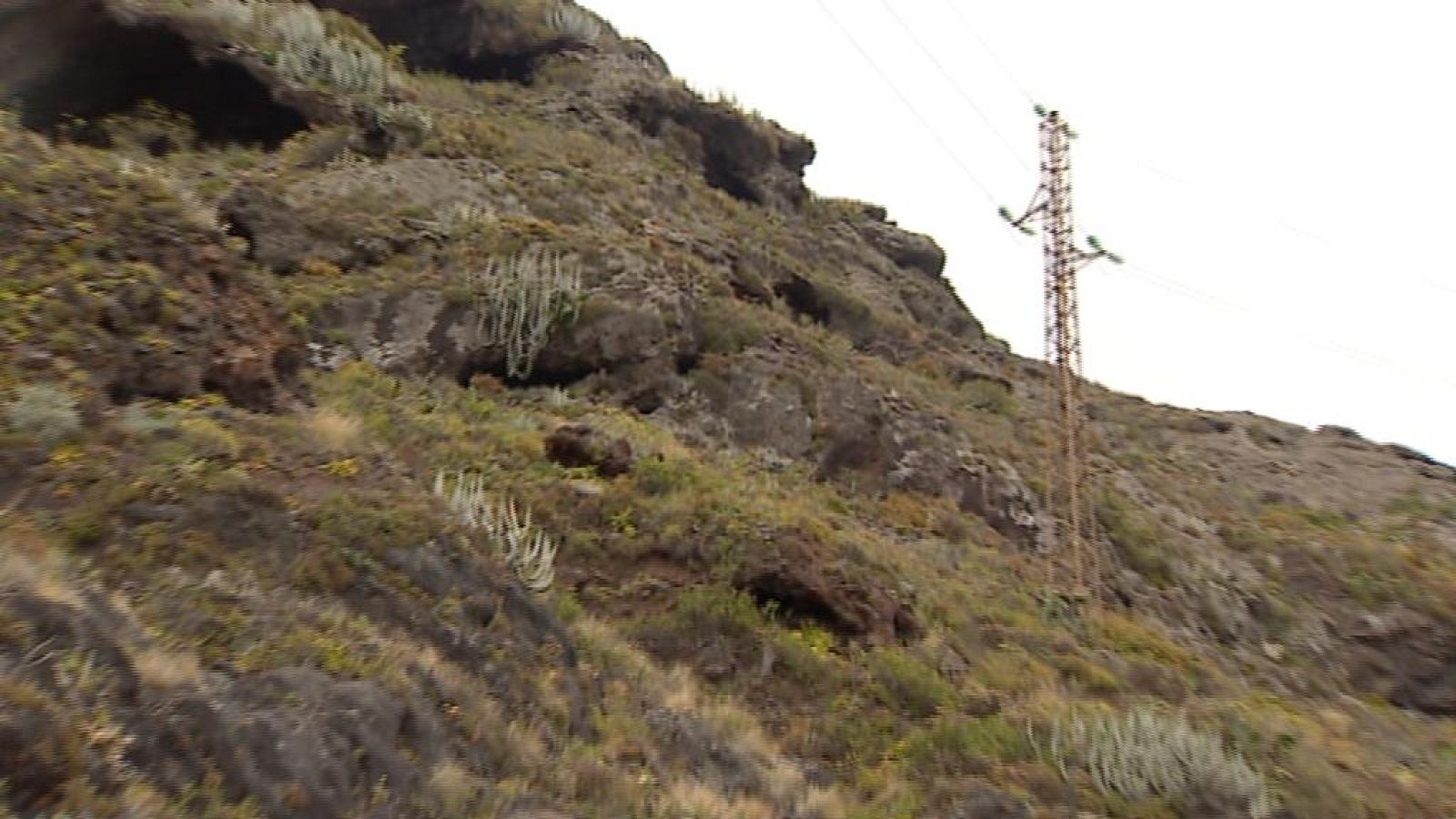 Telecanarias - 24/05/14 | Ver