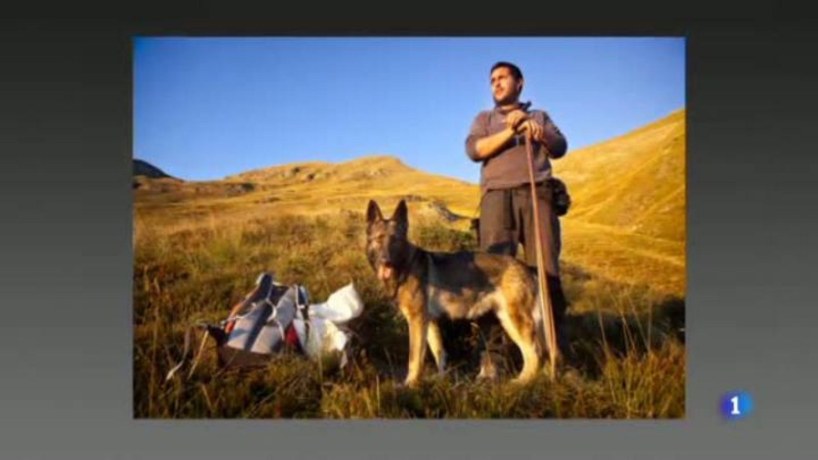 DOCFIELD BARCELONA 2014 | Veure