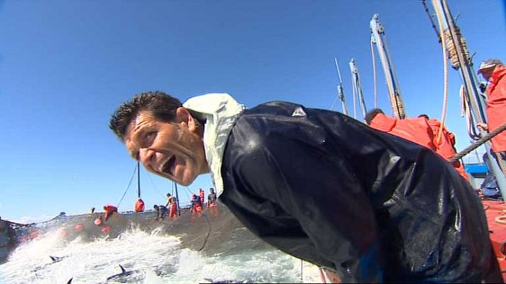 Telediario 1 - Almadraba en Cádiz