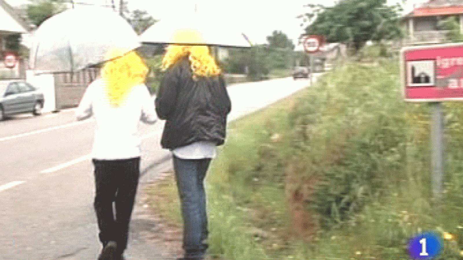 España Directo- Parderrubias (Pontevedra)