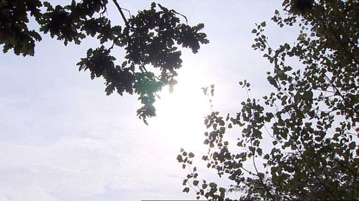 Informativo de Madrid - El Tiempo en la Comunidad de Madrid - 27/05/14