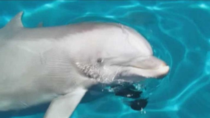 Informativo de Madrid - Informativo de Madrid 2 - 27/05/14