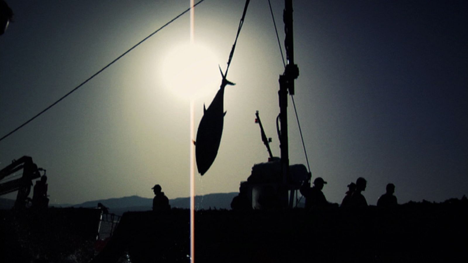 Aquí la Tierra - El porqué del color rojo del atún