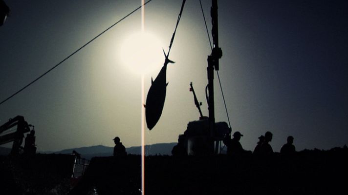 Aquí la Tierra - El porqué del color rojo del atún