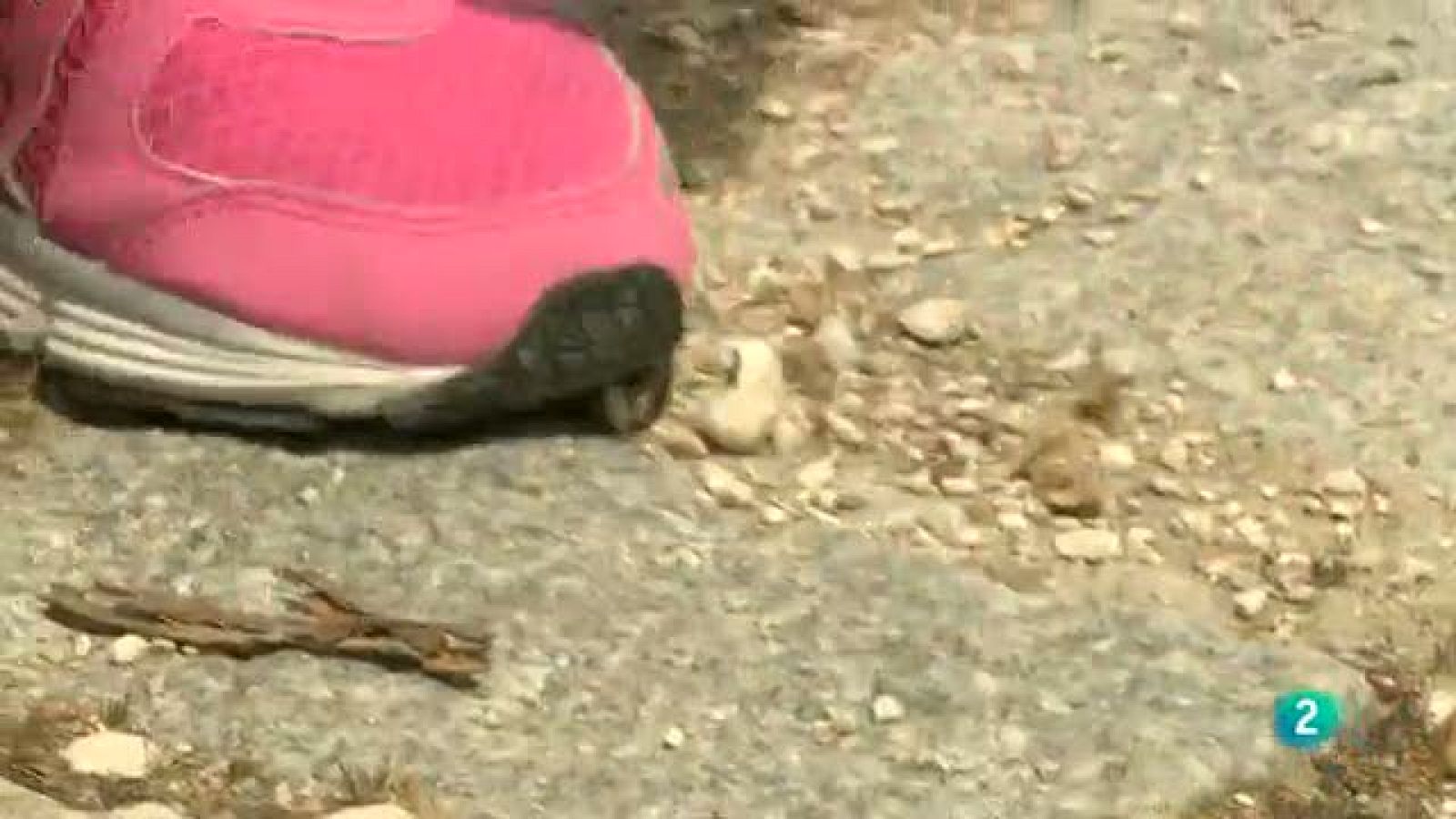 "Corriendo" hacia el empleo - Aquí hay trabajo | Ver