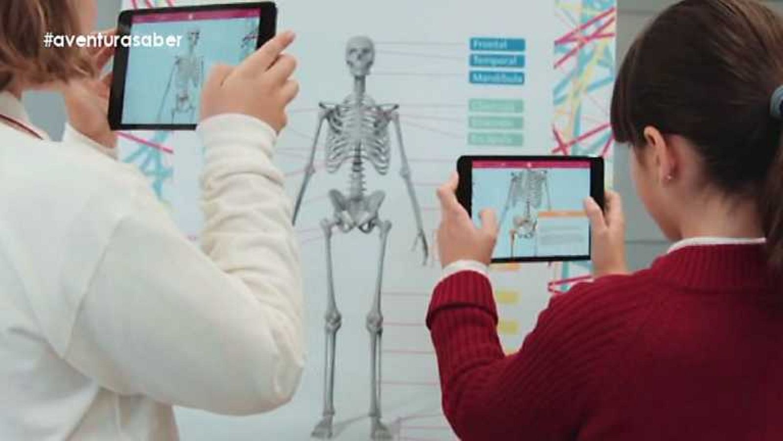 La aventura del saber - 28/05/14 - Ver ahora