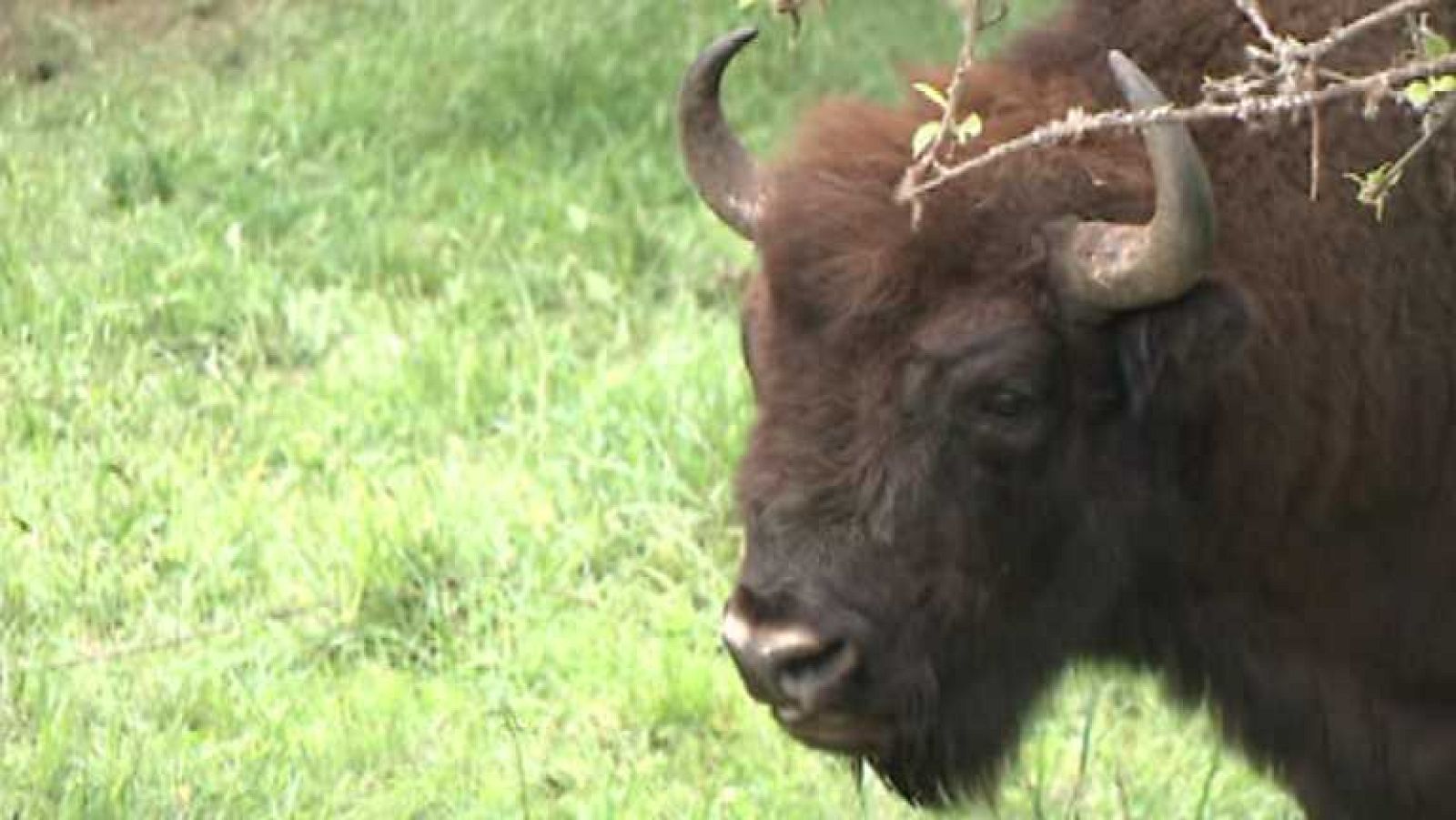 España en 24 horas - 28/05/14 - Ver ahora