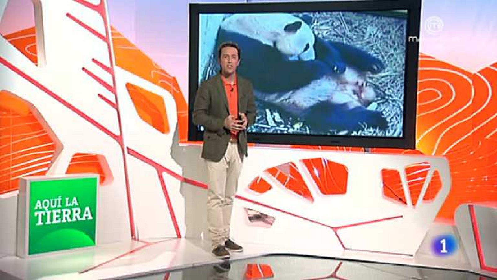 Aquí la Tierra - 28/05/14 - Ver ahora