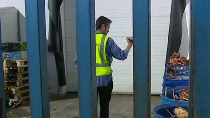 Informativo 24h - Registran mataderos en una operación contra la venta ilegal de carne de caballo