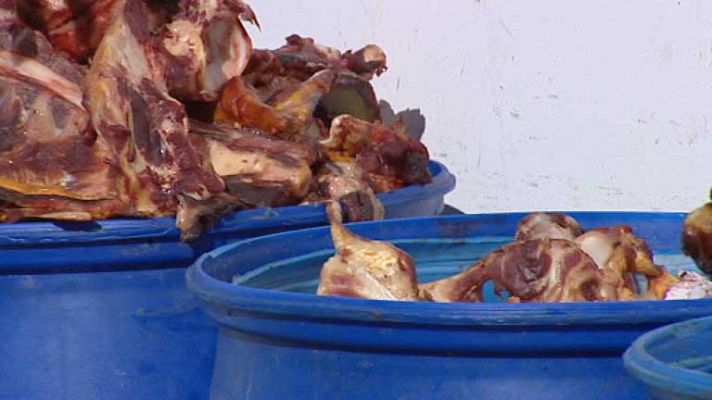 Telediario 1 - Carne de caballo ilegal