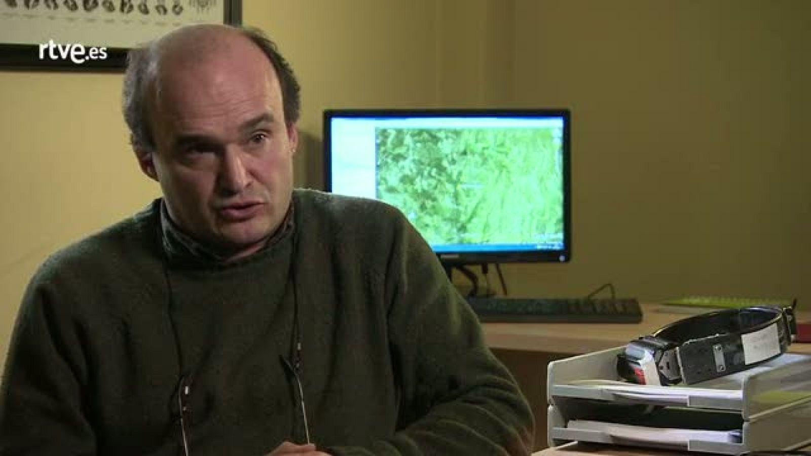 Luis Llaneza - Crónicas | Ver