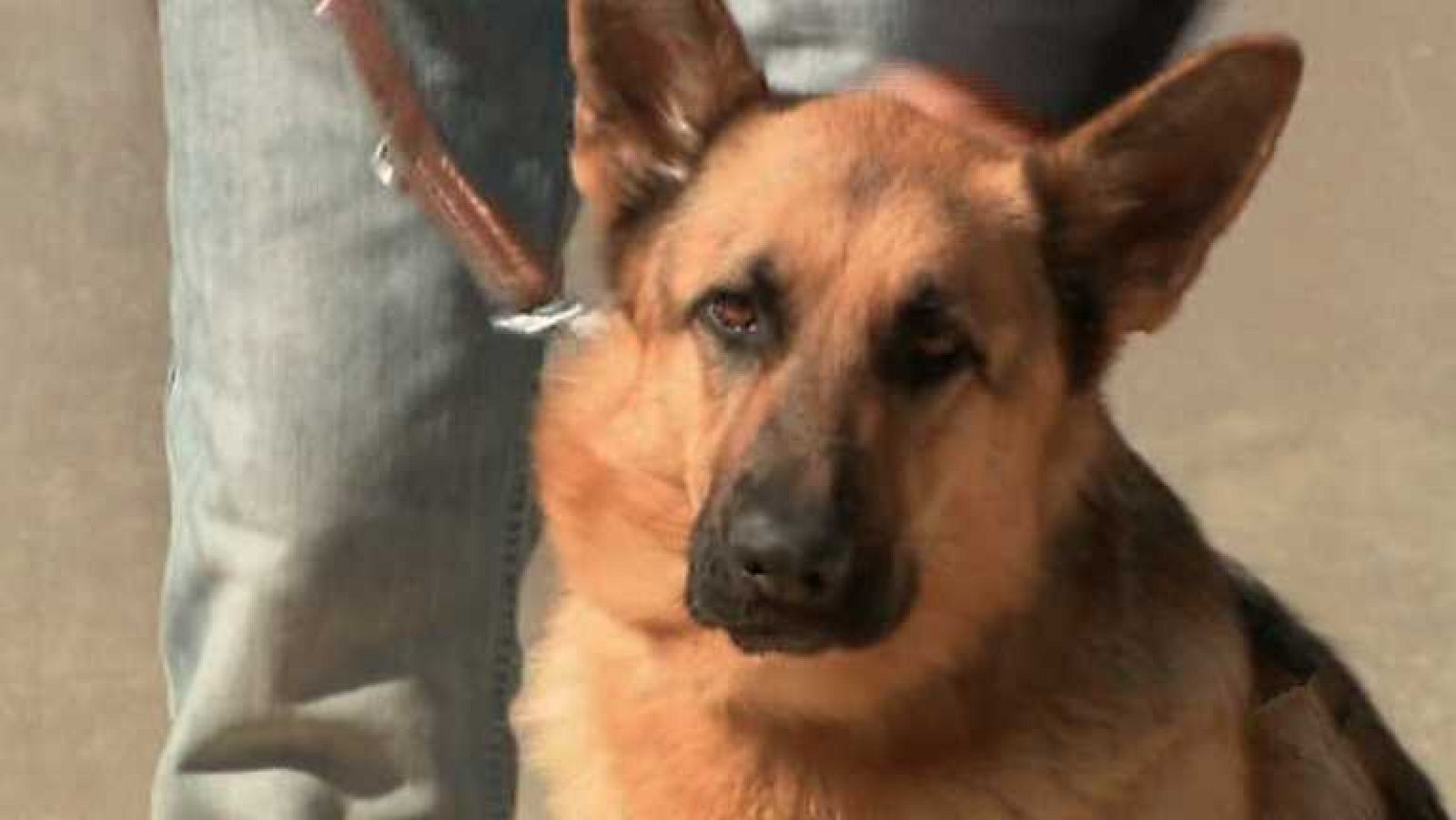 Para todos La 2 - 29/05/14 - Ver ahora