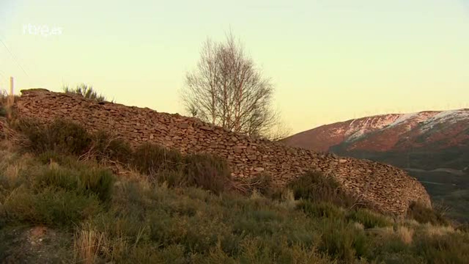 Felipe Lubián - Crónicas | Ver