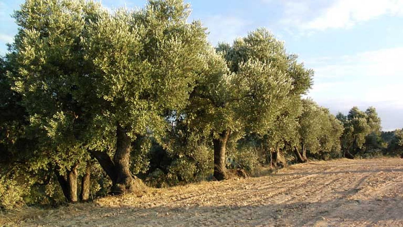Televisión Española dedica una semana al Medio Ambiente