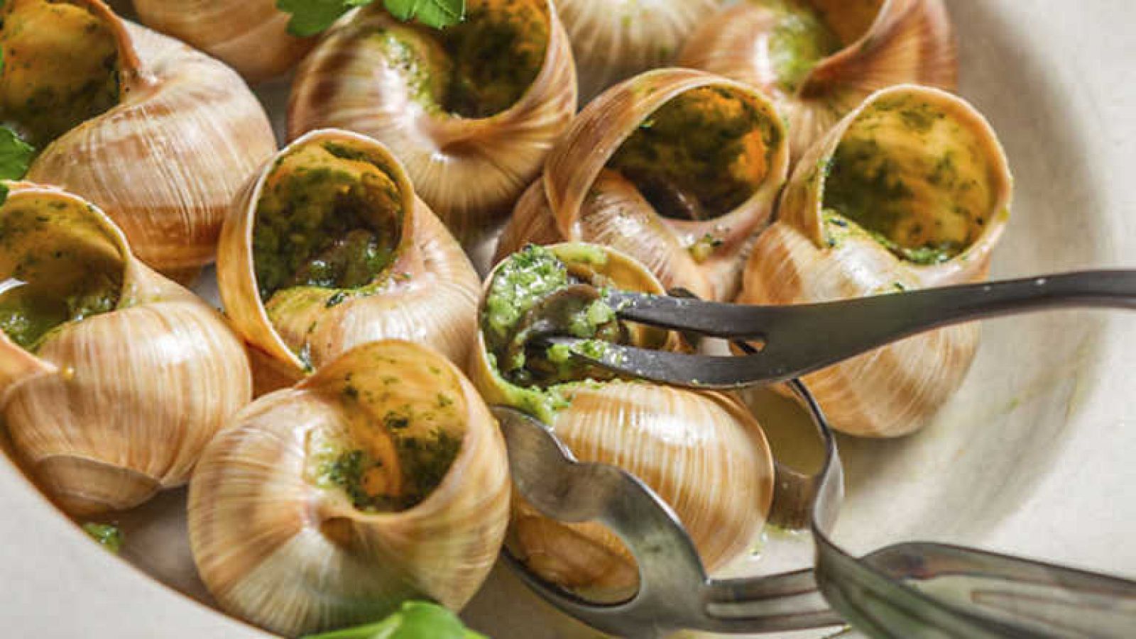 Grandes documentales - Trotamundos, programa especial 8 - Ver ahora