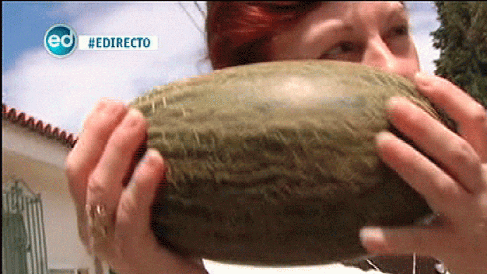 España Directo- Melón (Ourense)