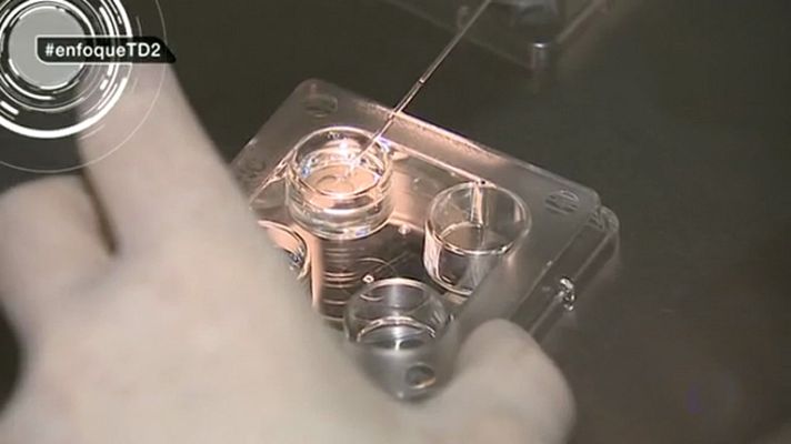 Telediario 1 - Tres de cada cien bebés nacen gracias a las técnicas de reproducción asistida