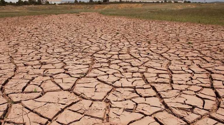 Agrosfera - Agrosfera - 31/05/14