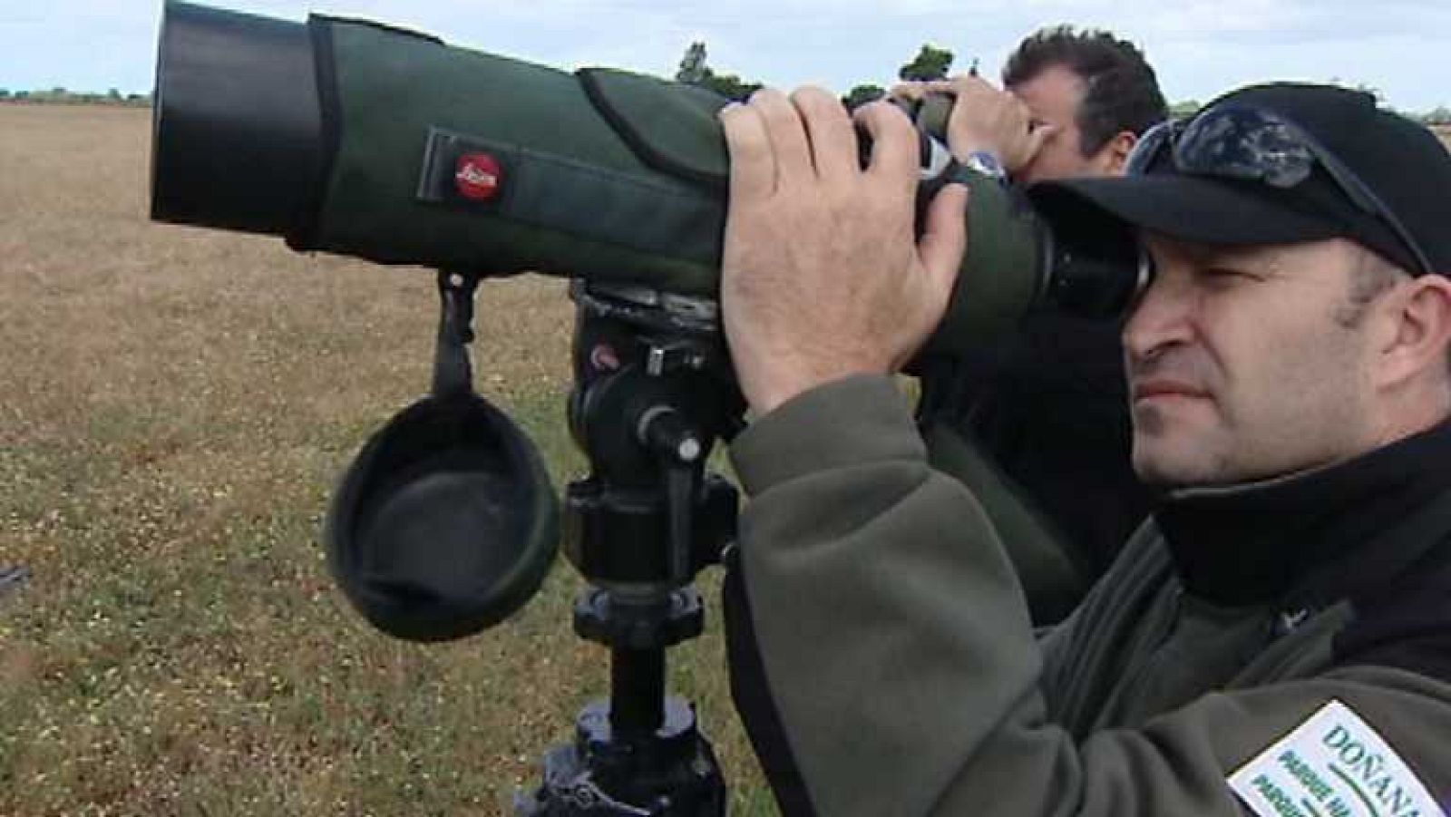 Informe Semanal - Doñana, la reserva de la ciencia - Ver ahora