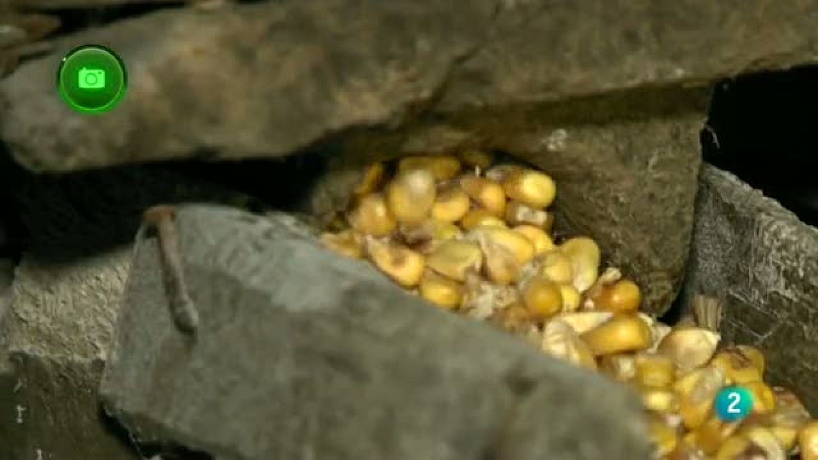 En clave rural - Degaña