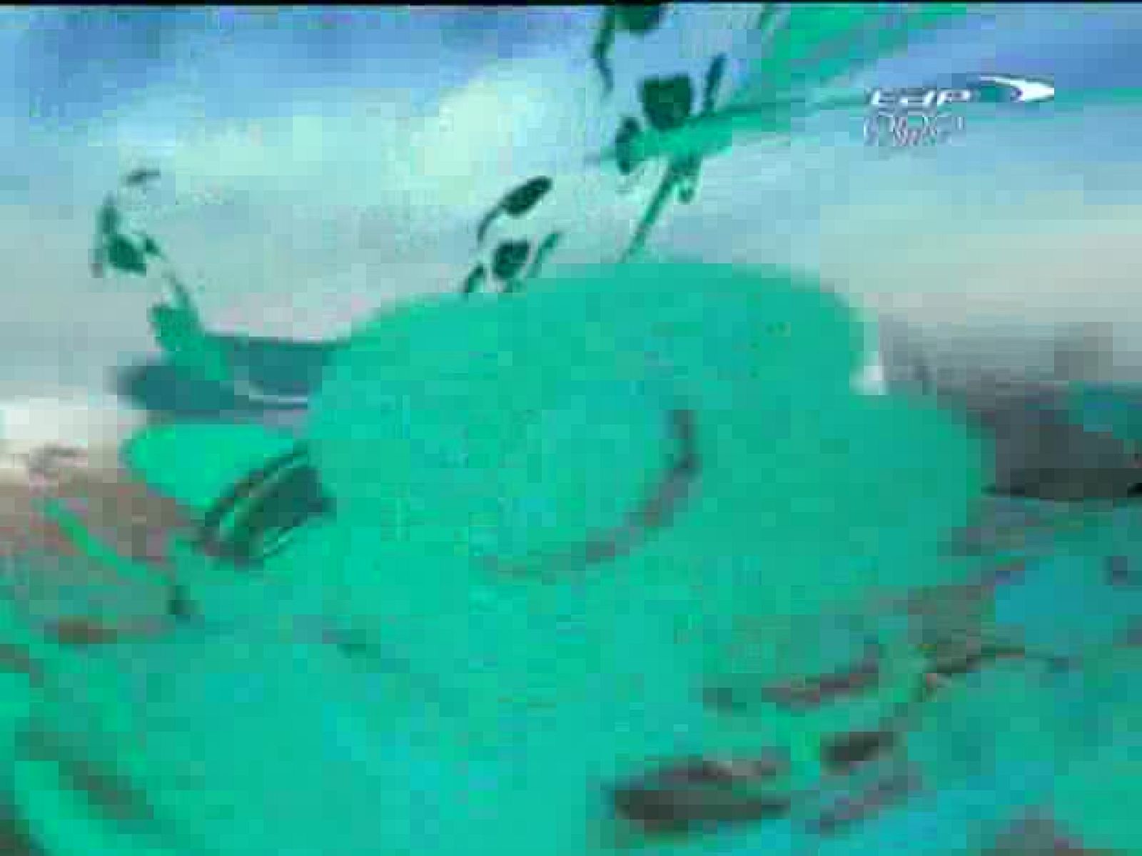 Hockey femenino .Alemania- Japón