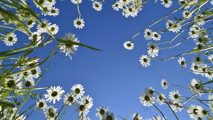 El tiempo - Ascenso moderado de las temperaturas