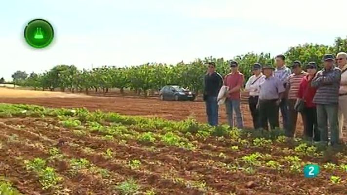 Agrosfera - El Chaparrillo (Ciudad Real)