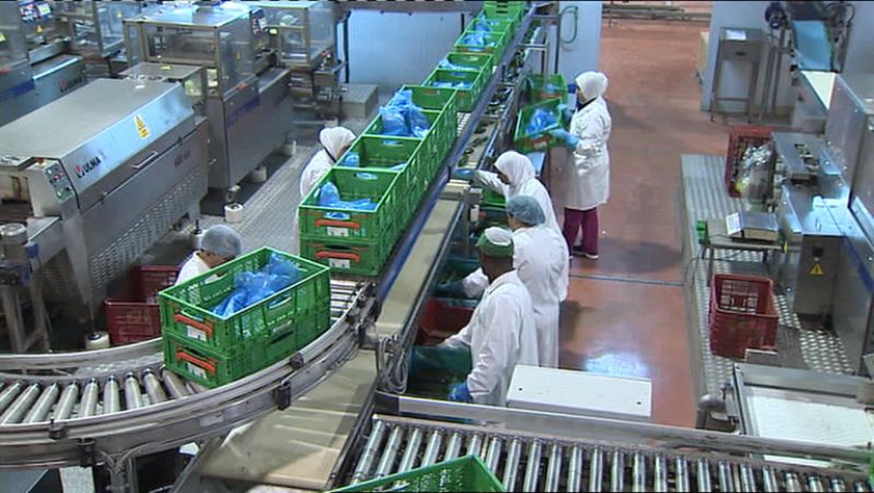 El paro bajó en mayo en todos los sectores, sobre todo en la construcción y en los servicios