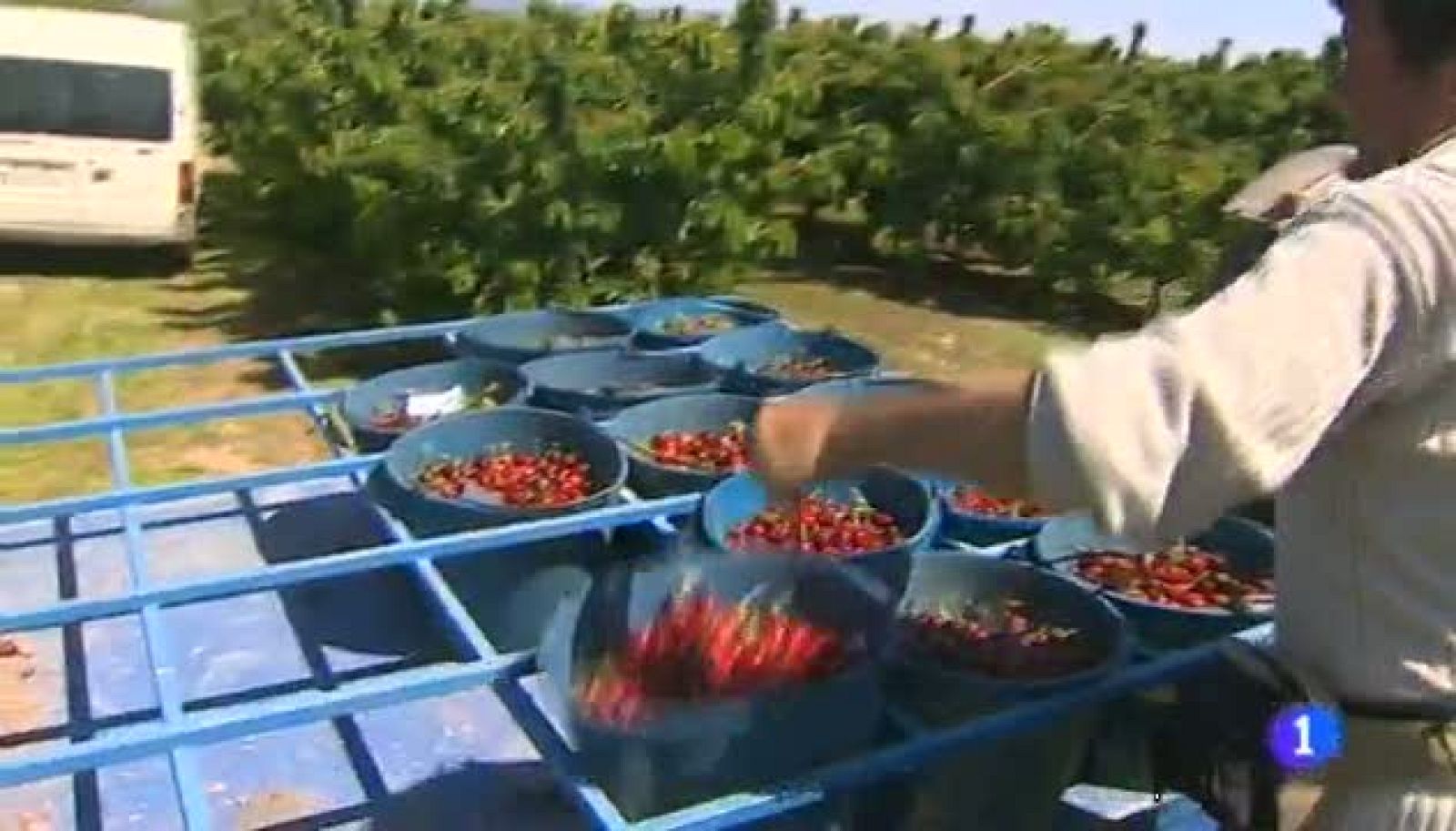 Noticias Aragón 2 - 03/06/14 | Ver