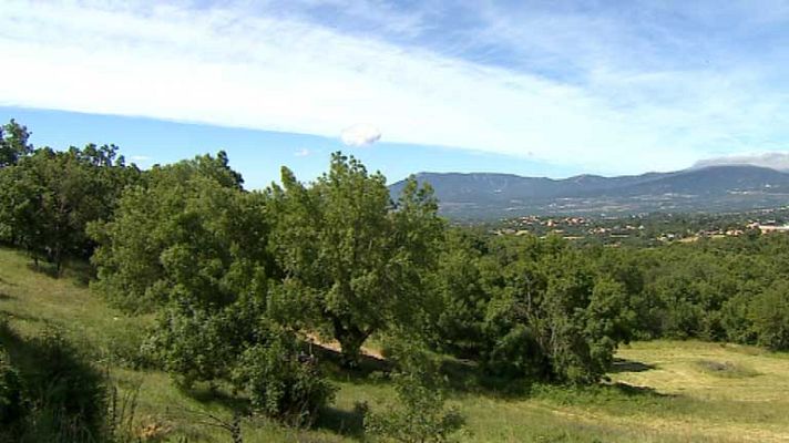 Informativo de Madrid - Informativo de Madrid - 04/06/14