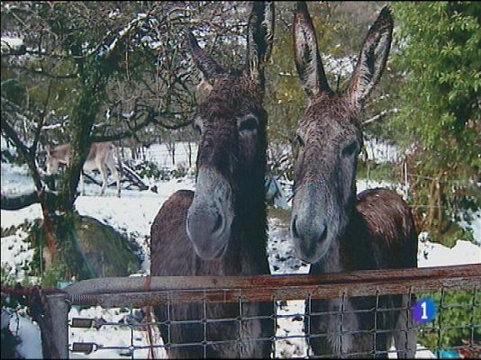 Panorama Regional - Asturias en 2' - 05/06/14