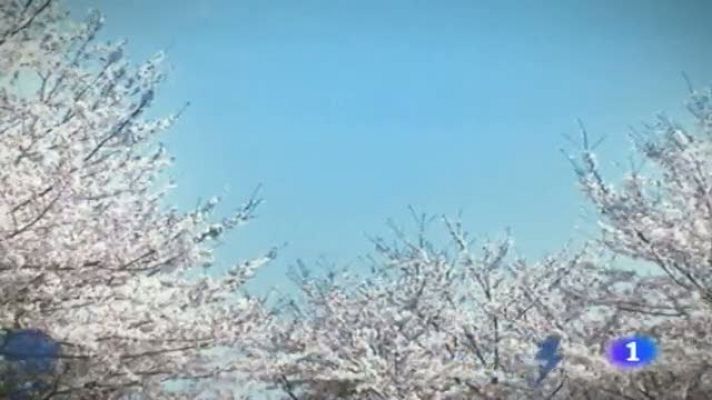 Noticias Murcia - El tiempo en la Región de Murcia - 05/06/2014