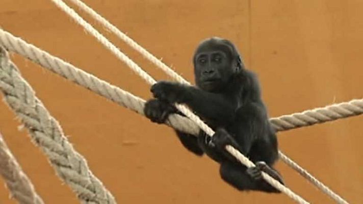 Para todos La 2 - Para todos La 2 - 05/06/14