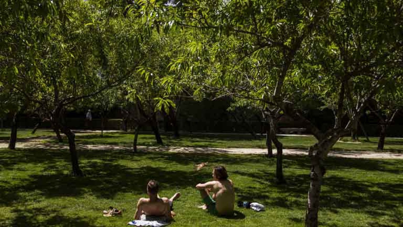 El Tiempo en la Comunidad de Madrid - 05/06/14
