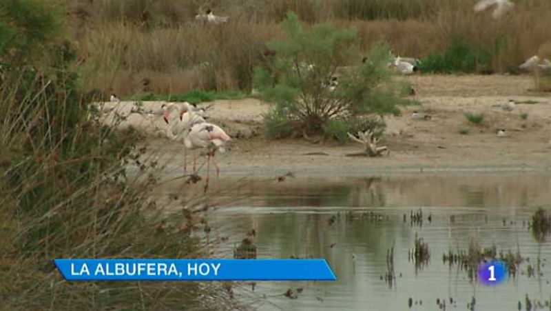 L'Informatiu - Comunitat Valenciana - 05/06/14 - Ver ahora